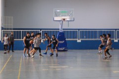Bask12