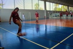 Futsal-fem