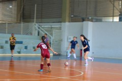 Futsal-fem6