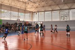 IMG_0928