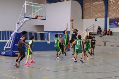 IMG_3384